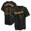 Men's No.83 Matt Canterino Minnesota Twins Black Replica Snake Skin City Jersey
